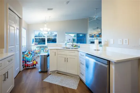 27350 New Smyrna Drive Wesley Chapel FL 33544