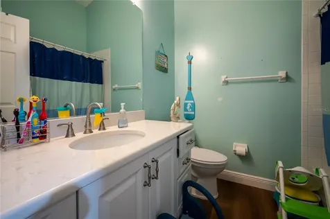 27350 New Smyrna Drive Wesley Chapel FL 33544