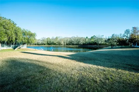 27350 New Smyrna Drive Wesley Chapel FL 33544
