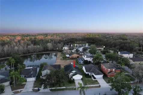 27350 New Smyrna Drive Wesley Chapel FL 33544
