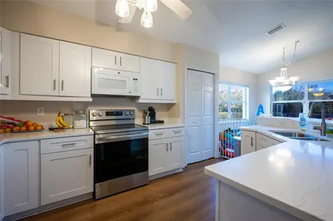 27350 New Smyrna Drive Wesley Chapel FL 33544