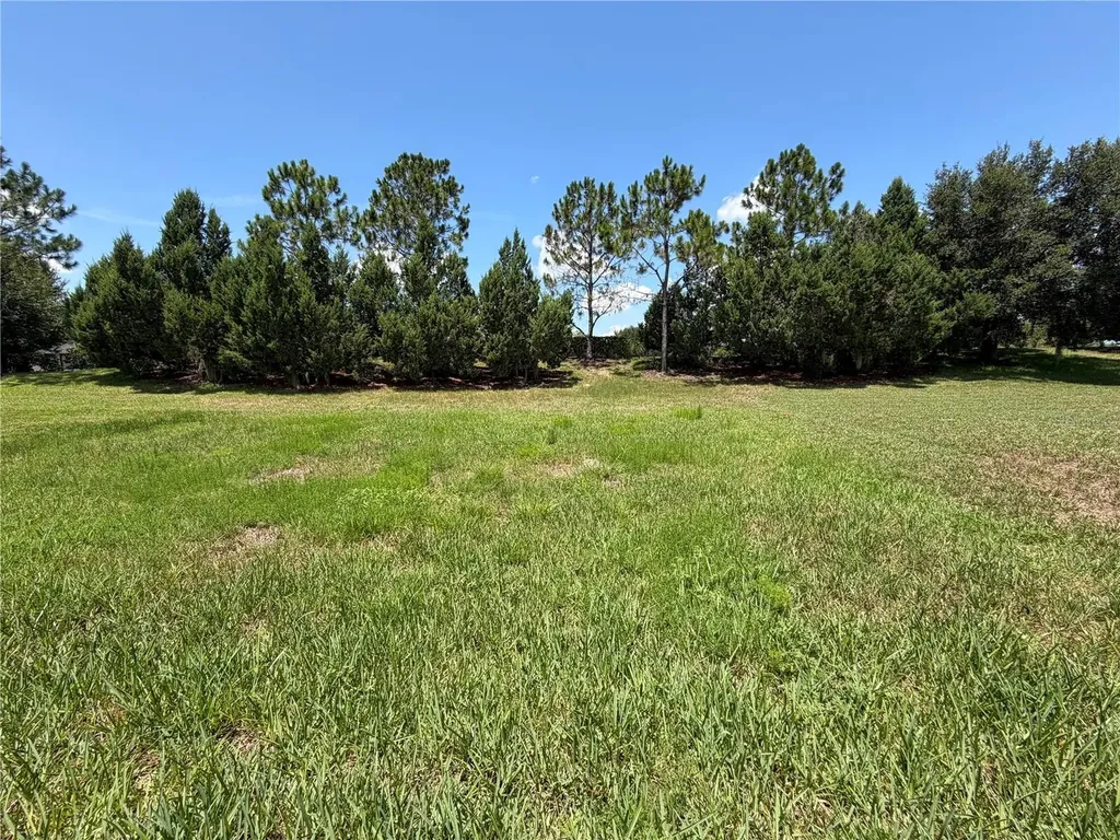 329 Alicante Court Davenport FL 33837