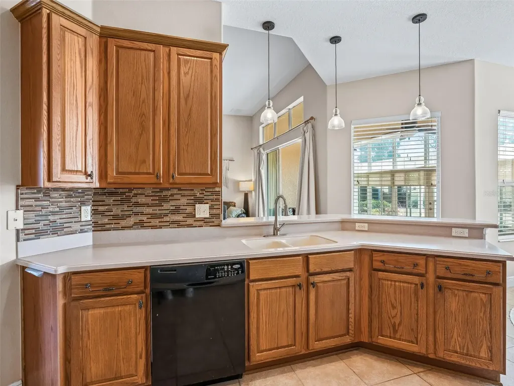 5236 Island Terrace Court Lady Lake FL 32159