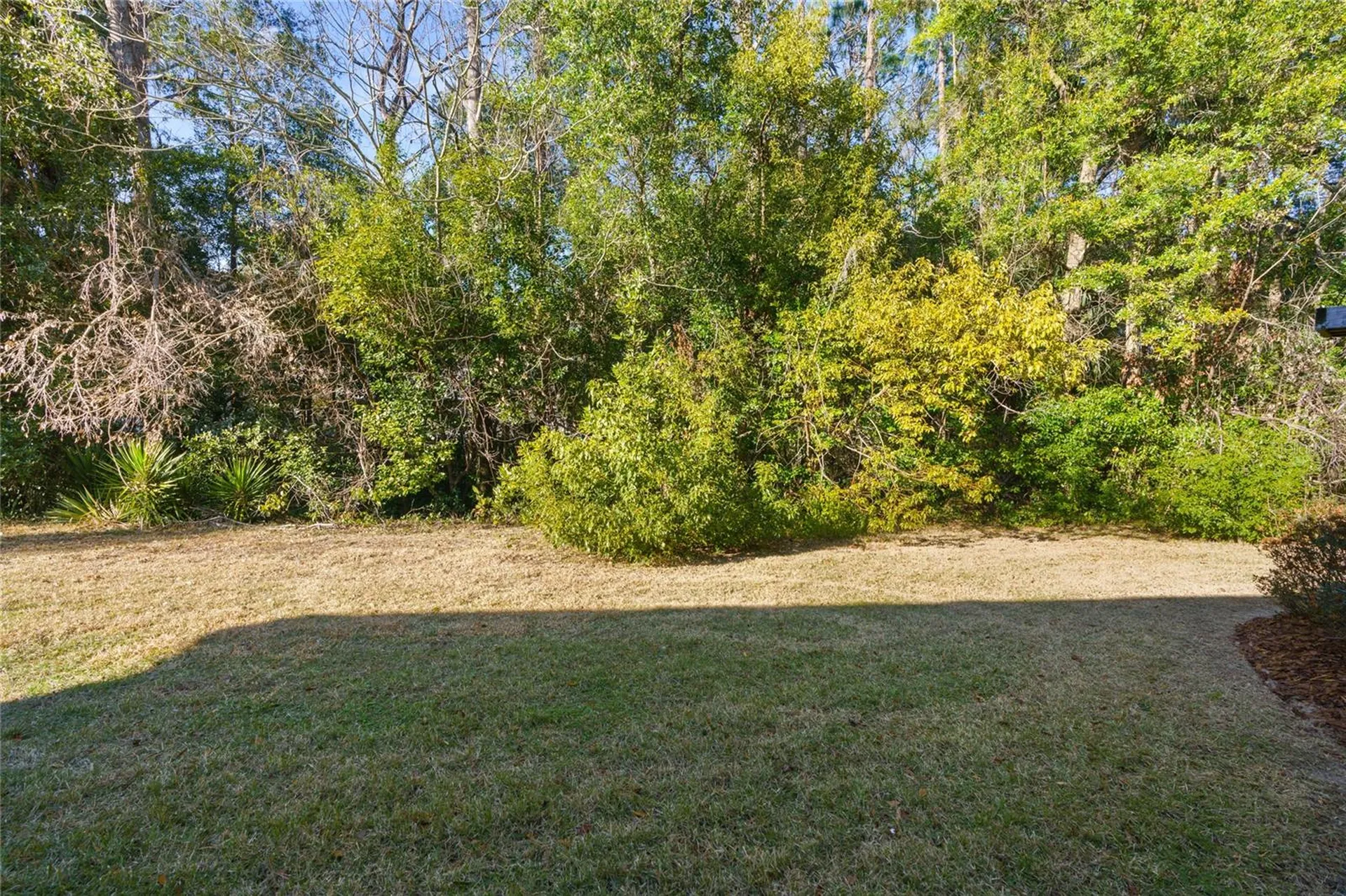 4117 SE 21st Street Ocala FL 34471