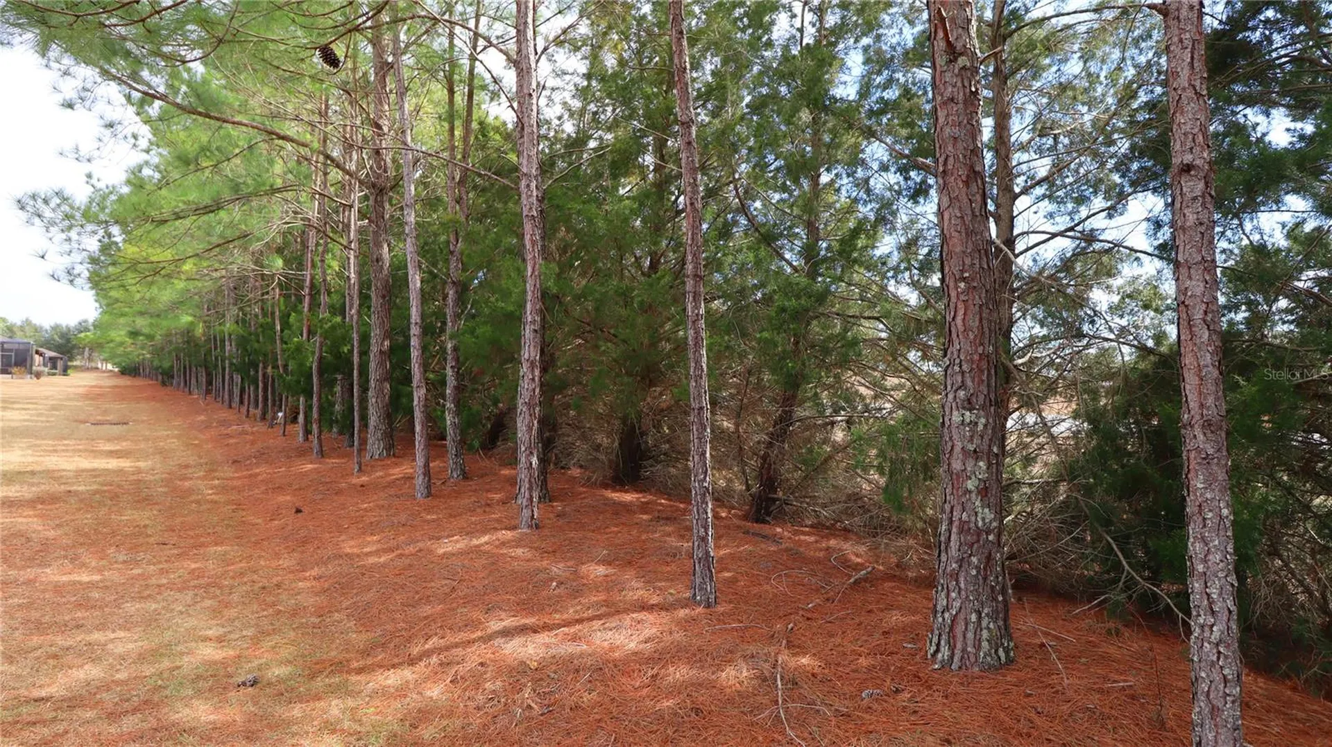 7707 SW 94th Circle Ocala FL 34481