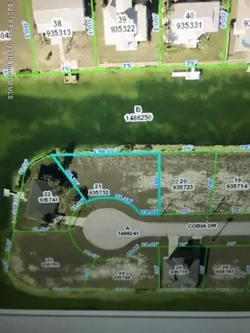 3431 Cobia Drive Hernando Beach FL 34607