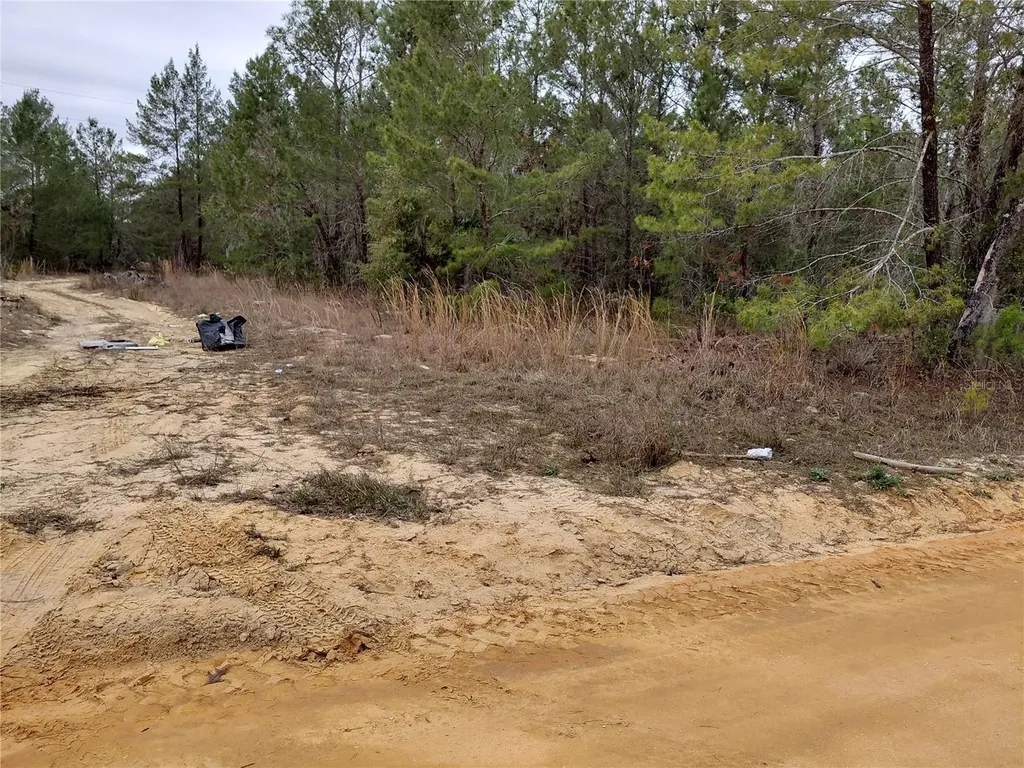 0 Oak Terrace Interlachen FL 32148