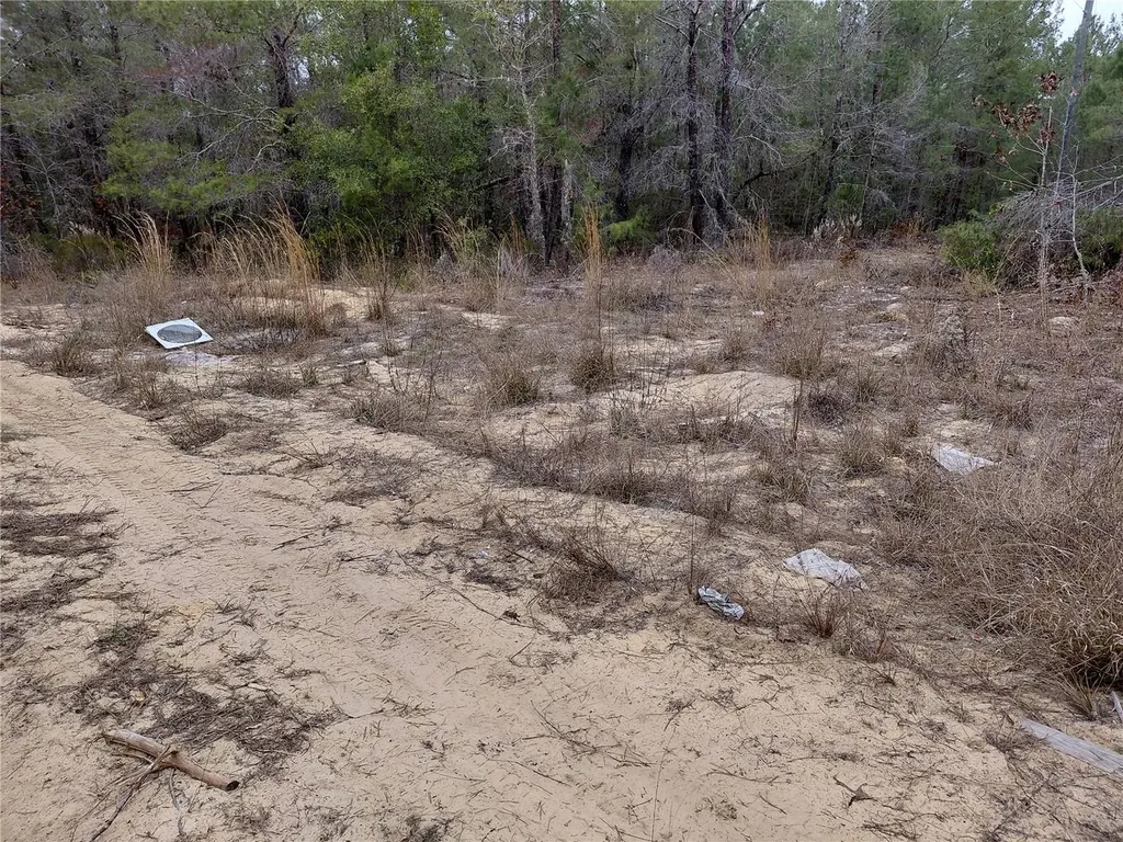 0 Oak Terrace Interlachen FL 32148