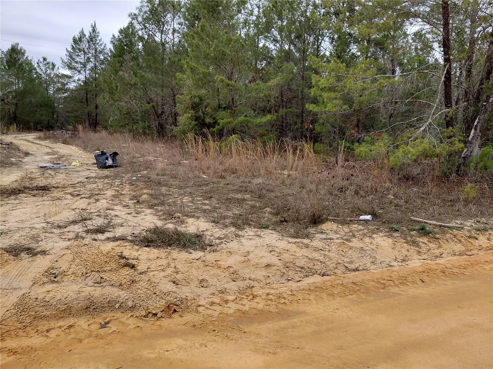 0 Oak Terrace Interlachen FL 32148