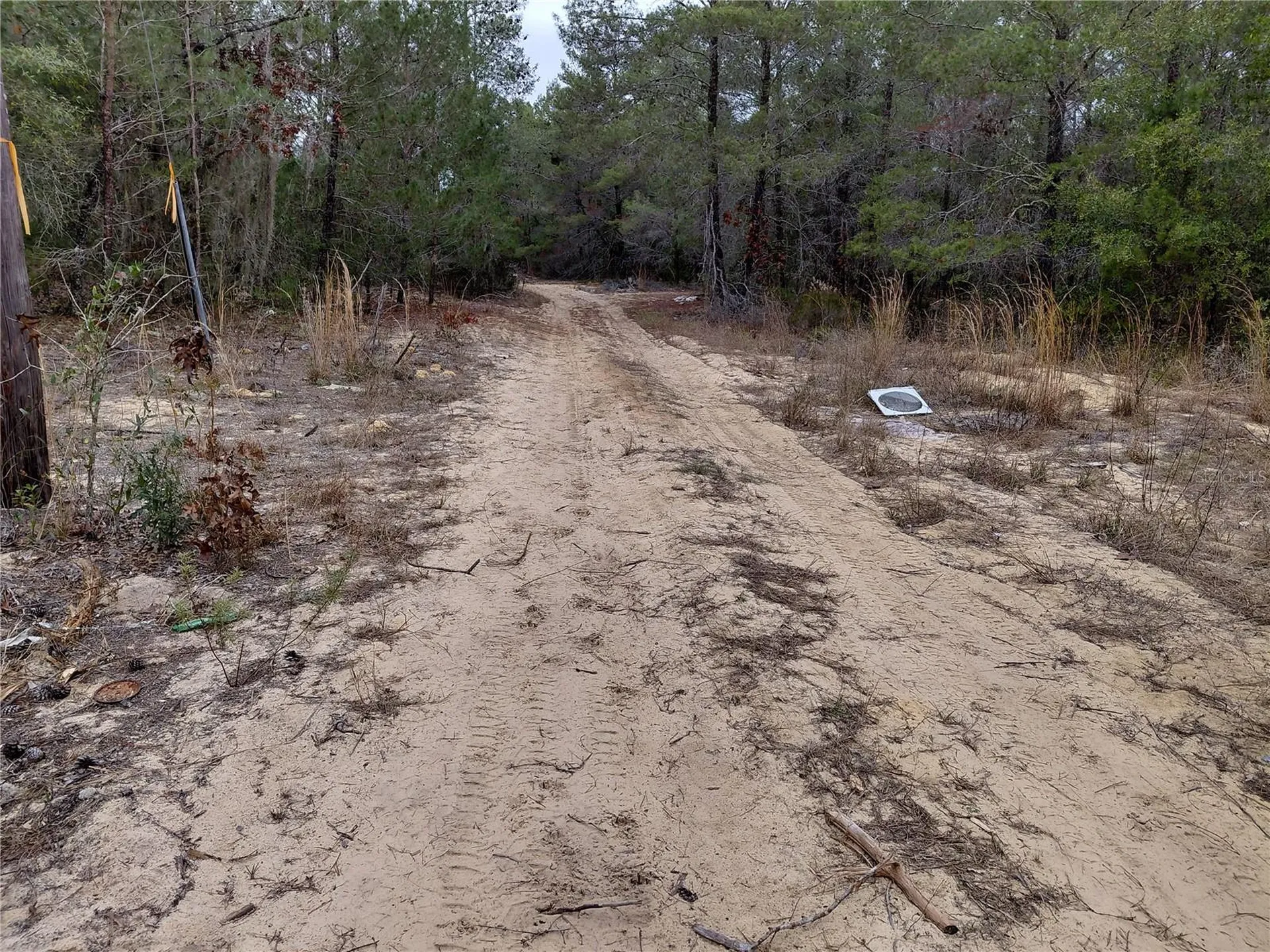 0 Oak Terrace Interlachen FL 32148