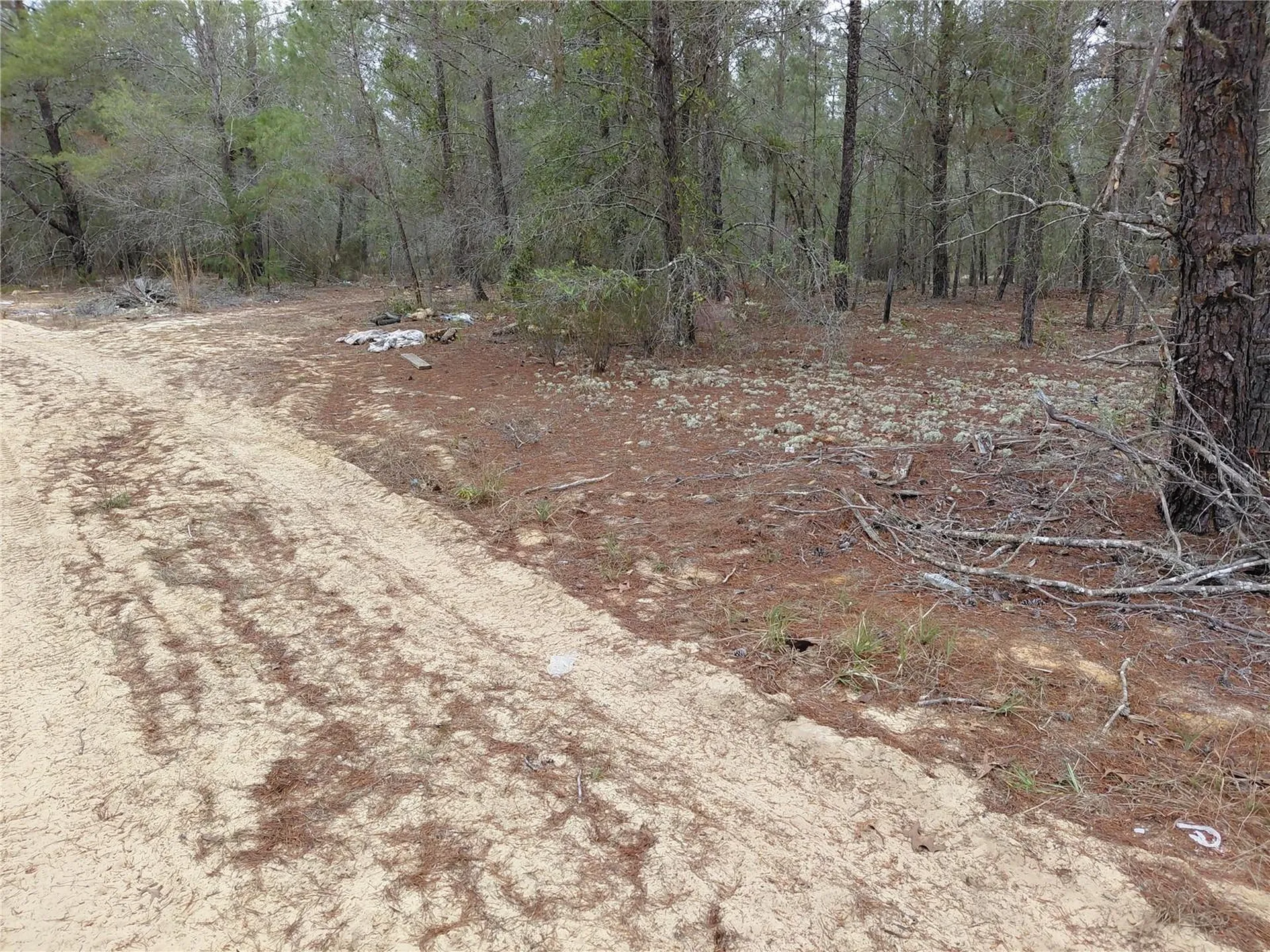 0 Oak Terrace Interlachen FL 32148