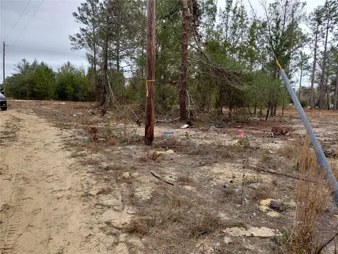 0 Oak Terrace Interlachen FL 32148