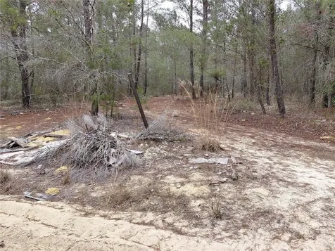 0 Oak Terrace Interlachen FL 32148