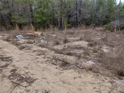 0 Oak Terrace Interlachen FL 32148