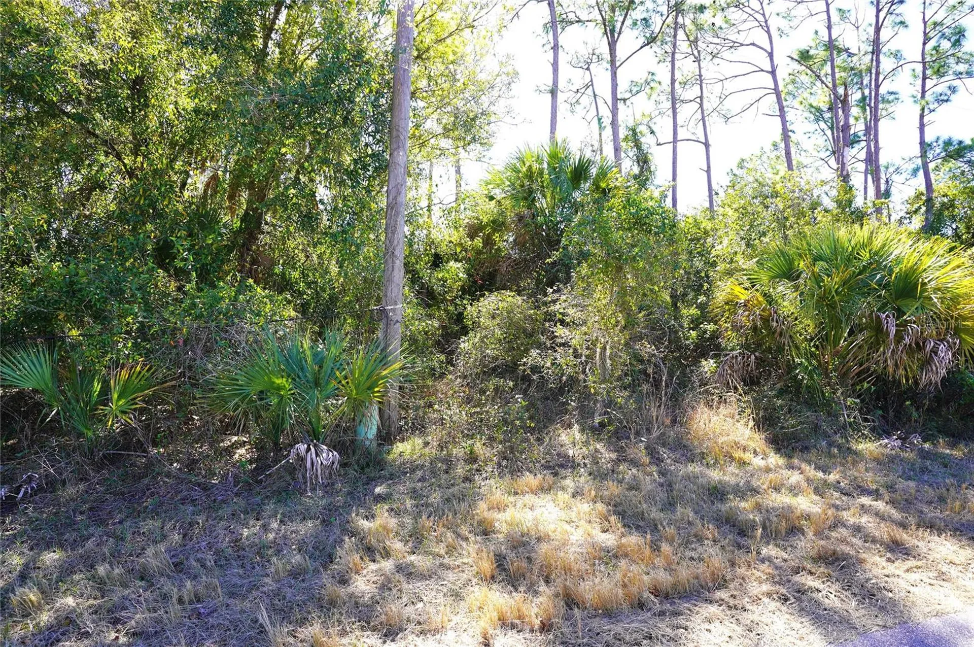 Sedberry Avenue North Port FL 34288