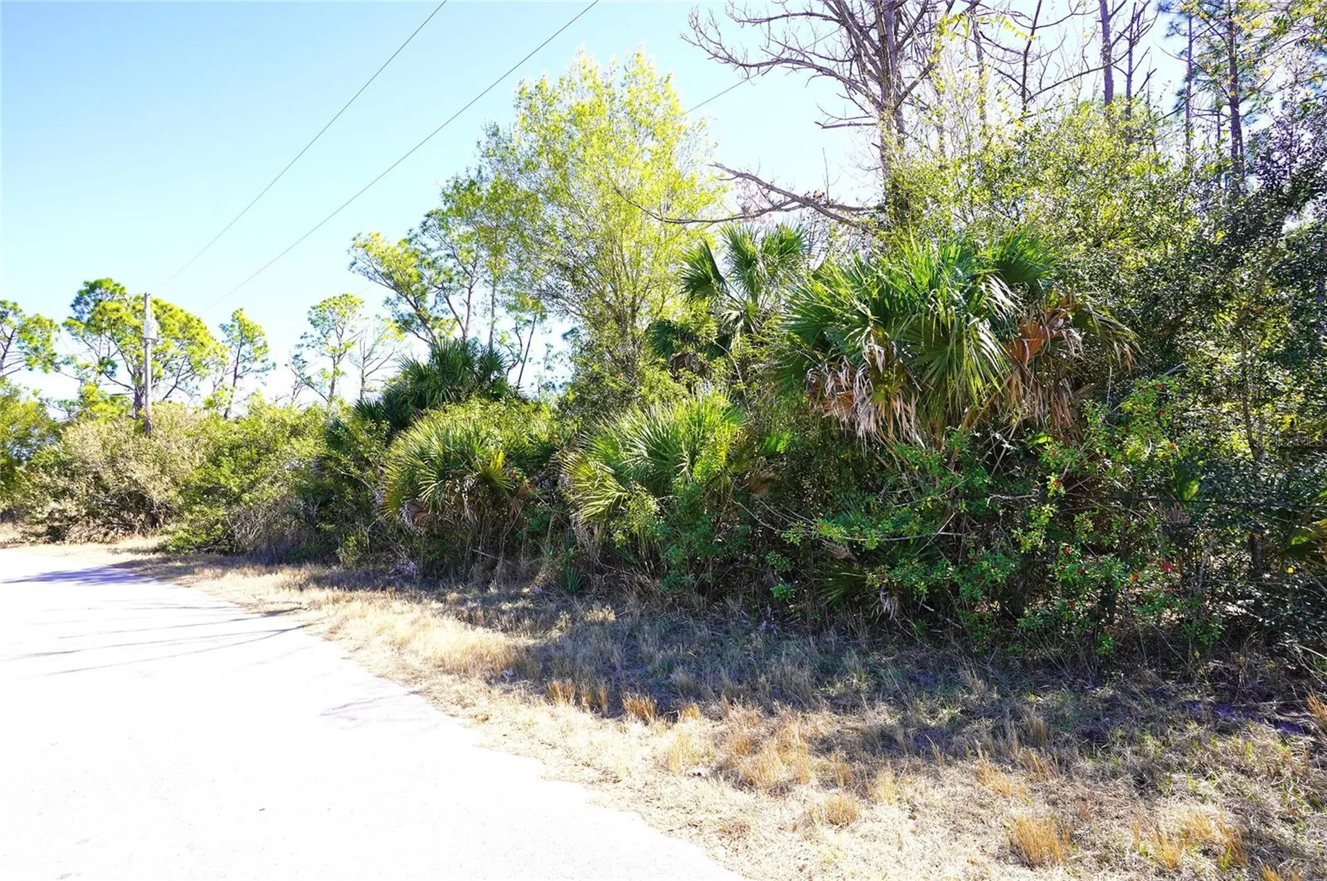 Sedberry Avenue North Port FL 34288