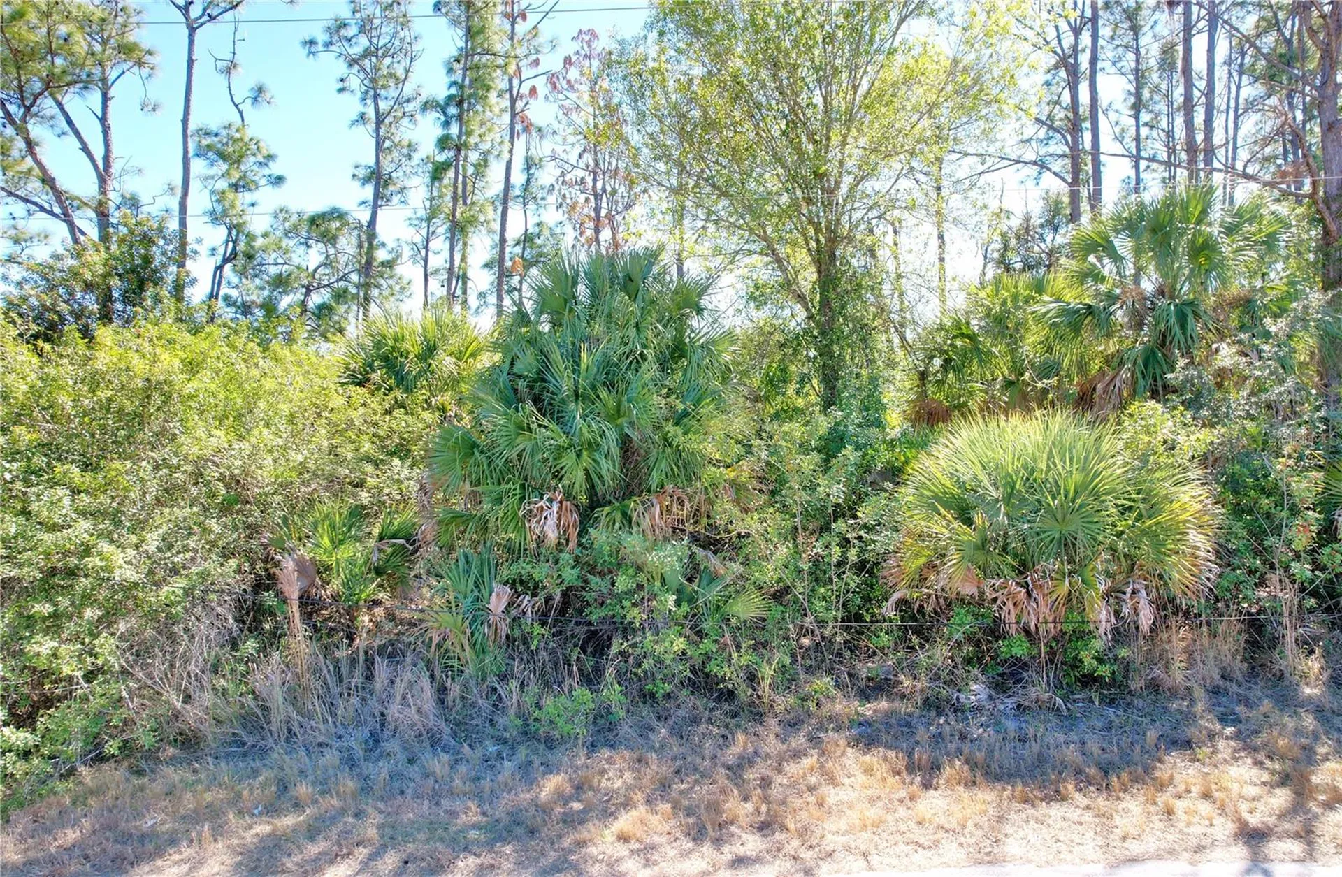 Sedberry Avenue North Port FL 34288