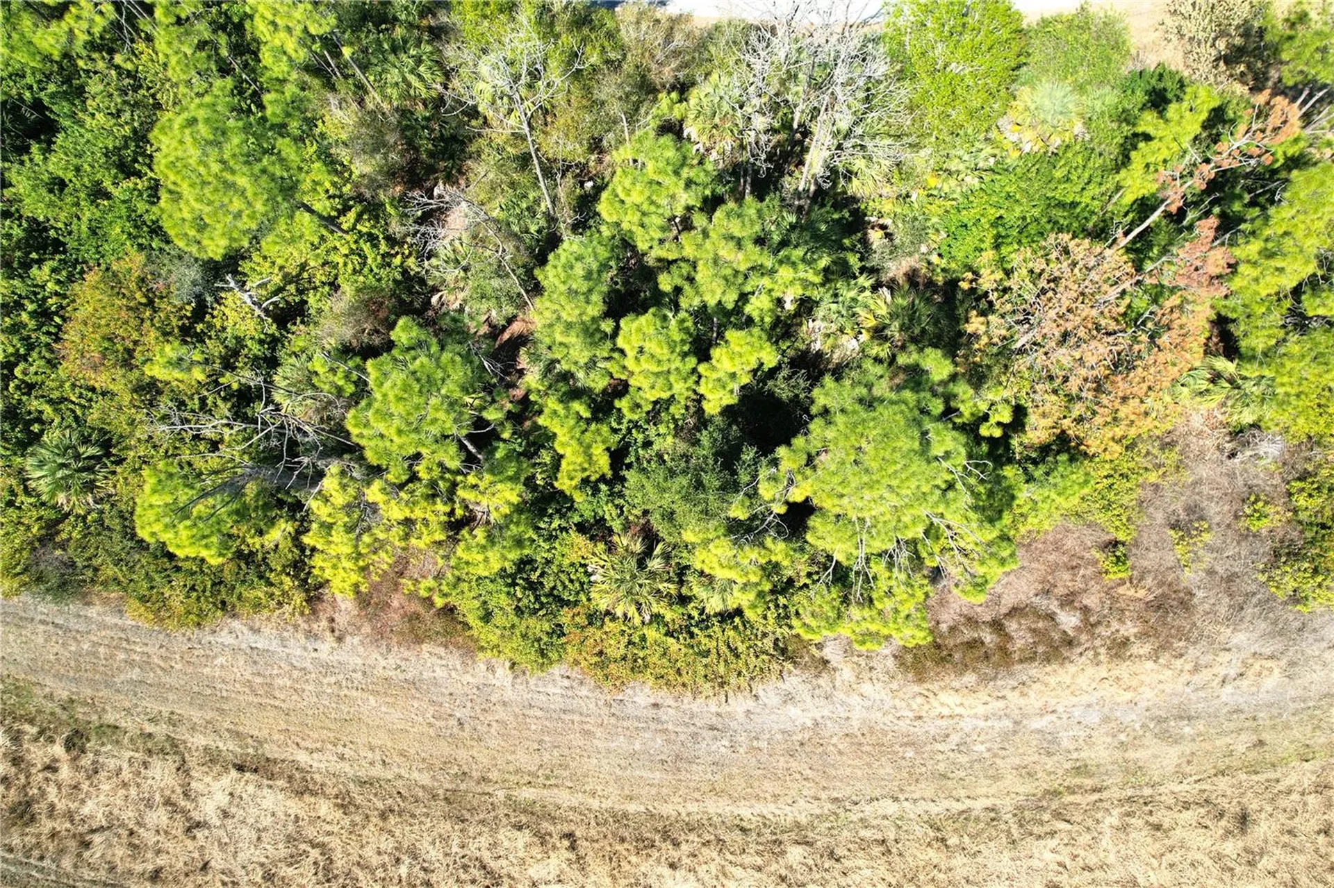 Sedberry Avenue North Port FL 34288