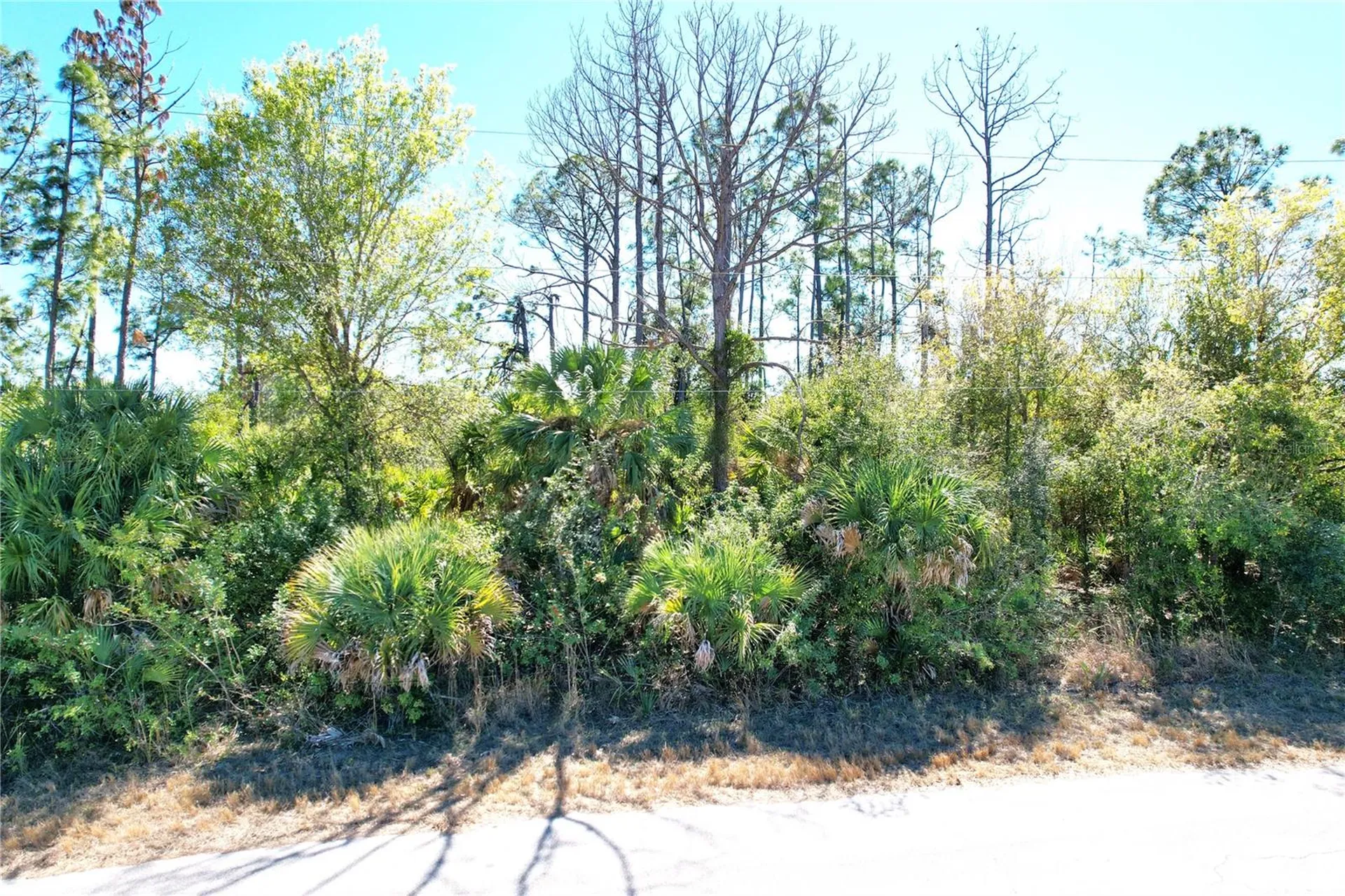 Sedberry Avenue North Port FL 34288