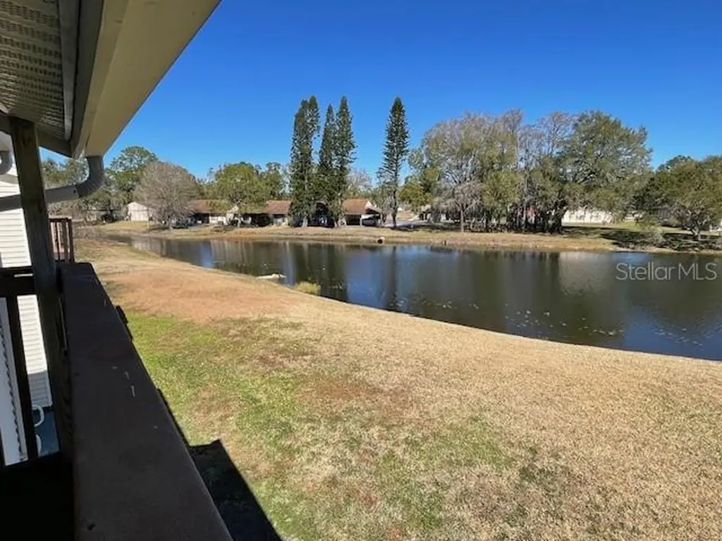 129 Camphor Circle Oldsmar FL 34677