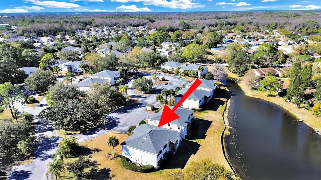 129 Camphor Circle Oldsmar FL 34677
