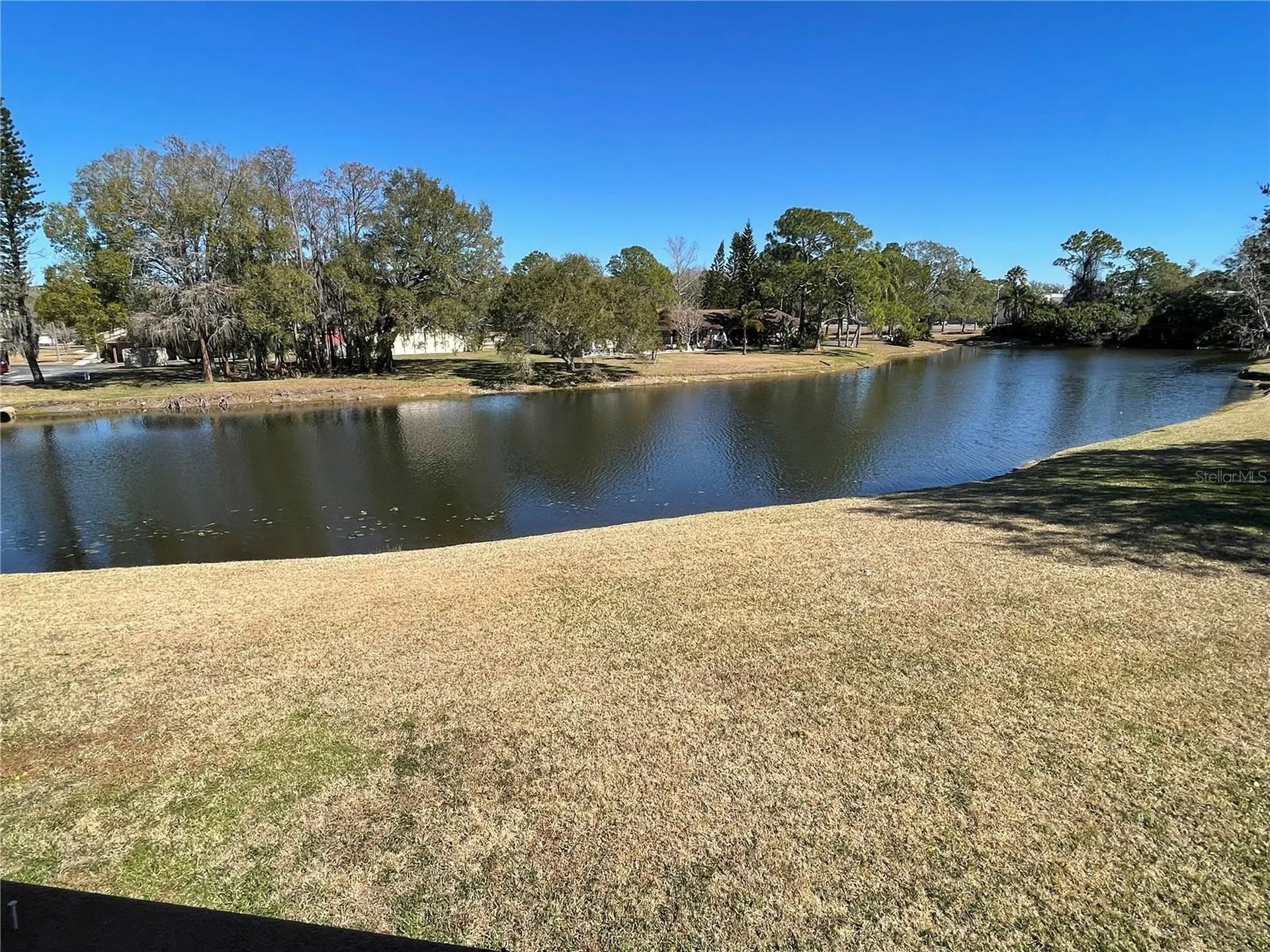 129 Camphor Circle Oldsmar FL 34677