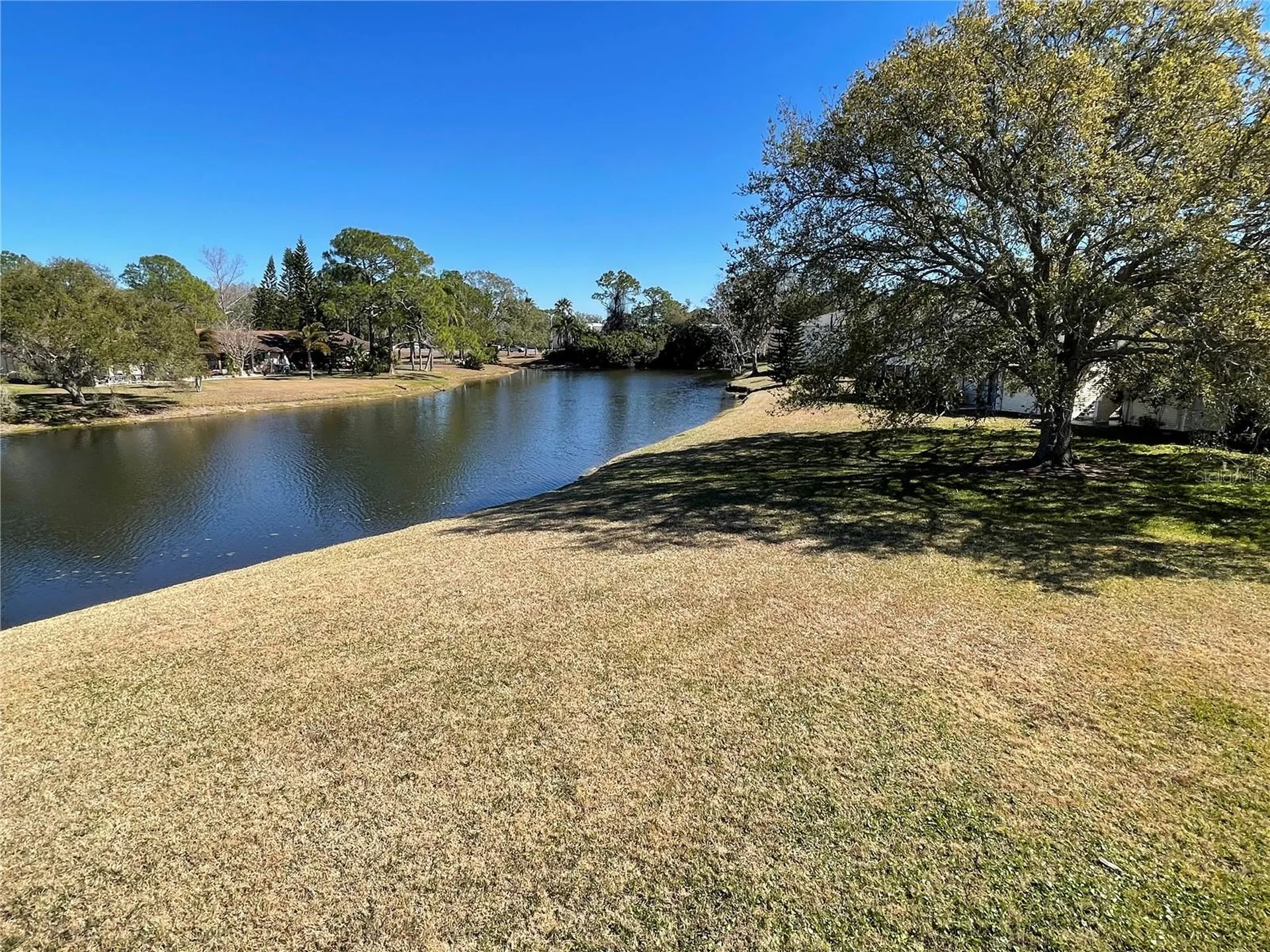 129 Camphor Circle Oldsmar FL 34677