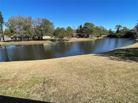 129 Camphor Circle Oldsmar FL 34677