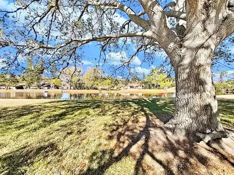 129 Camphor Circle Oldsmar FL 34677