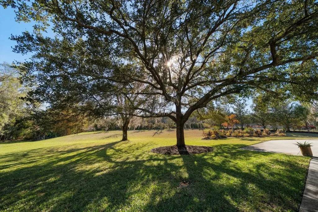 103 Silver Moss Lane Tarpon Springs FL 34688