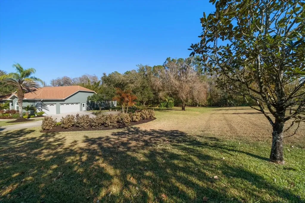 103 Silver Moss Lane Tarpon Springs FL 34688
