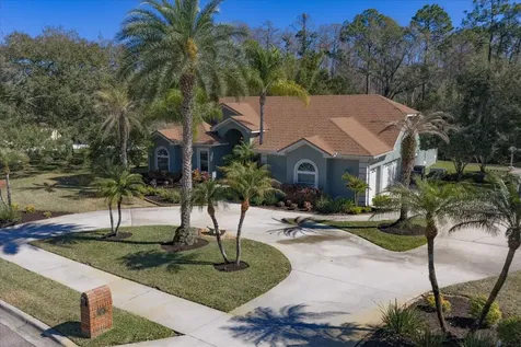 103 Silver Moss Lane Tarpon Springs FL 34688