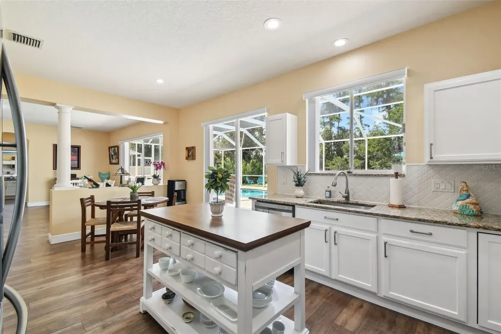 21511 Wilderness Lake Boulevard Land O Lakes FL 34637