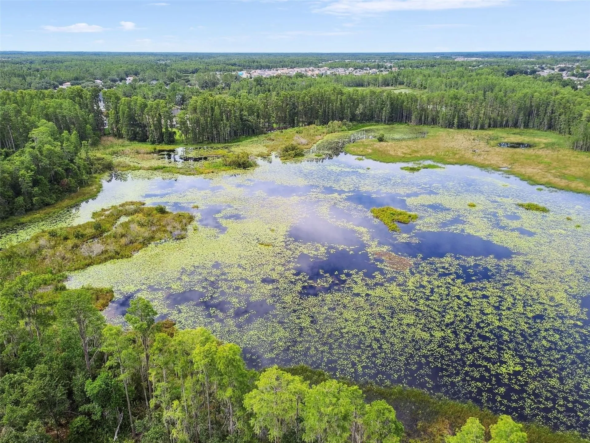 21511 Wilderness Lake Boulevard Land O Lakes FL 34637