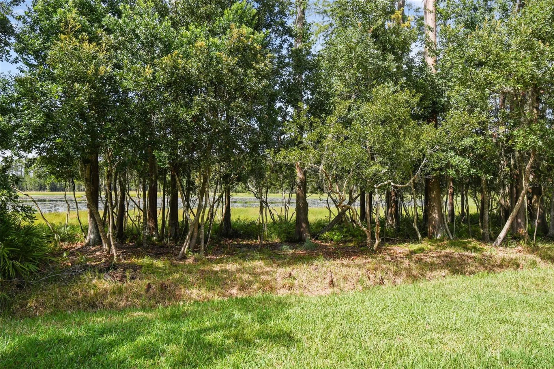 21511 Wilderness Lake Boulevard Land O Lakes FL 34637