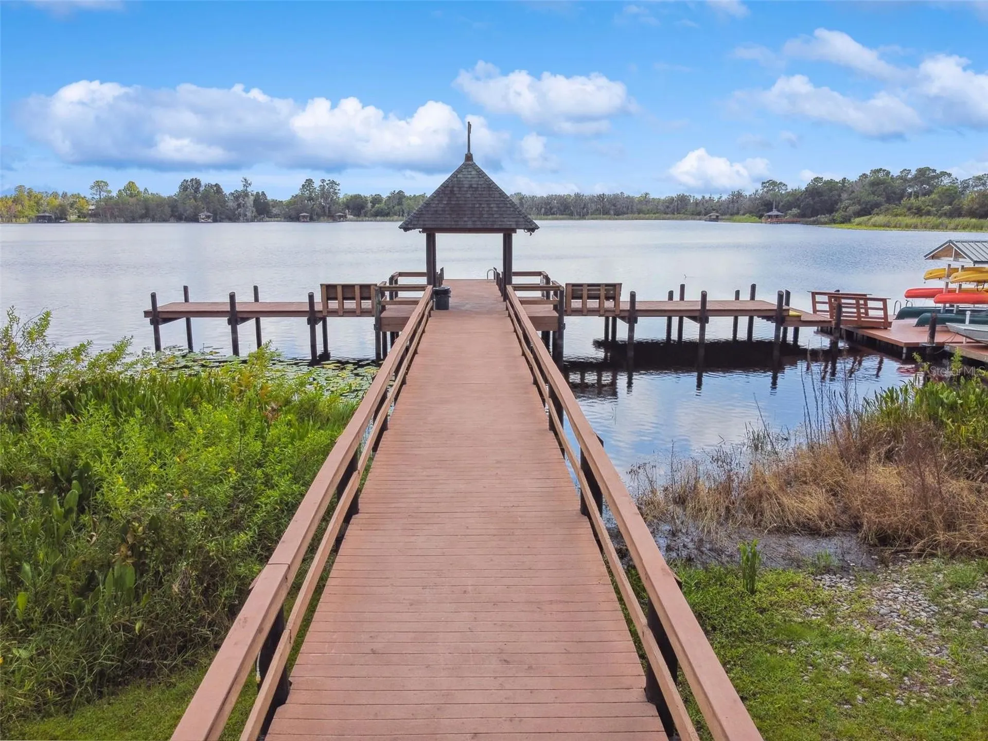21511 Wilderness Lake Boulevard Land O Lakes FL 34637