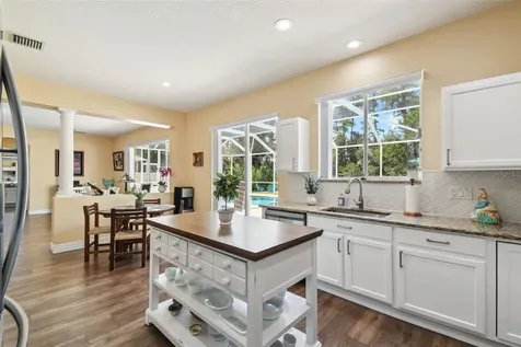21511 Wilderness Lake Boulevard Land O Lakes FL 34637