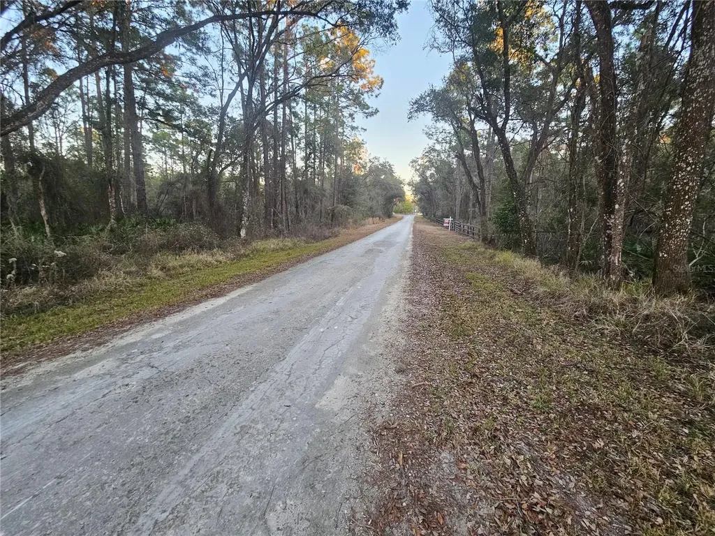 Rosehill Drive Webster FL 33597