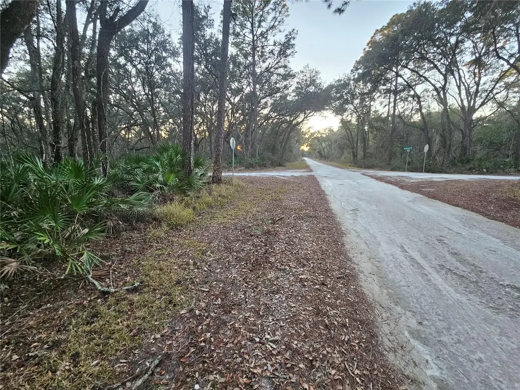 Rosehill Drive Webster FL 33597