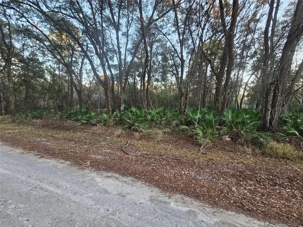Rosehill Drive Webster FL 33597