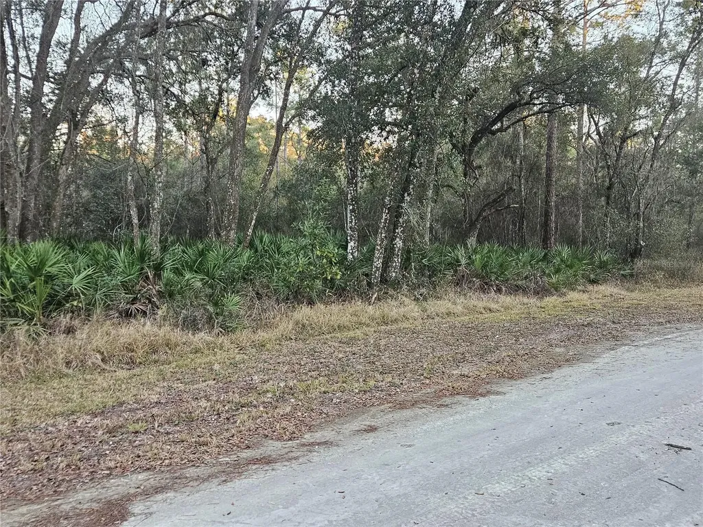 Rosehill Drive Webster FL 33597