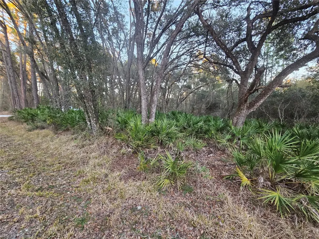 Rosehill Drive Webster FL 33597