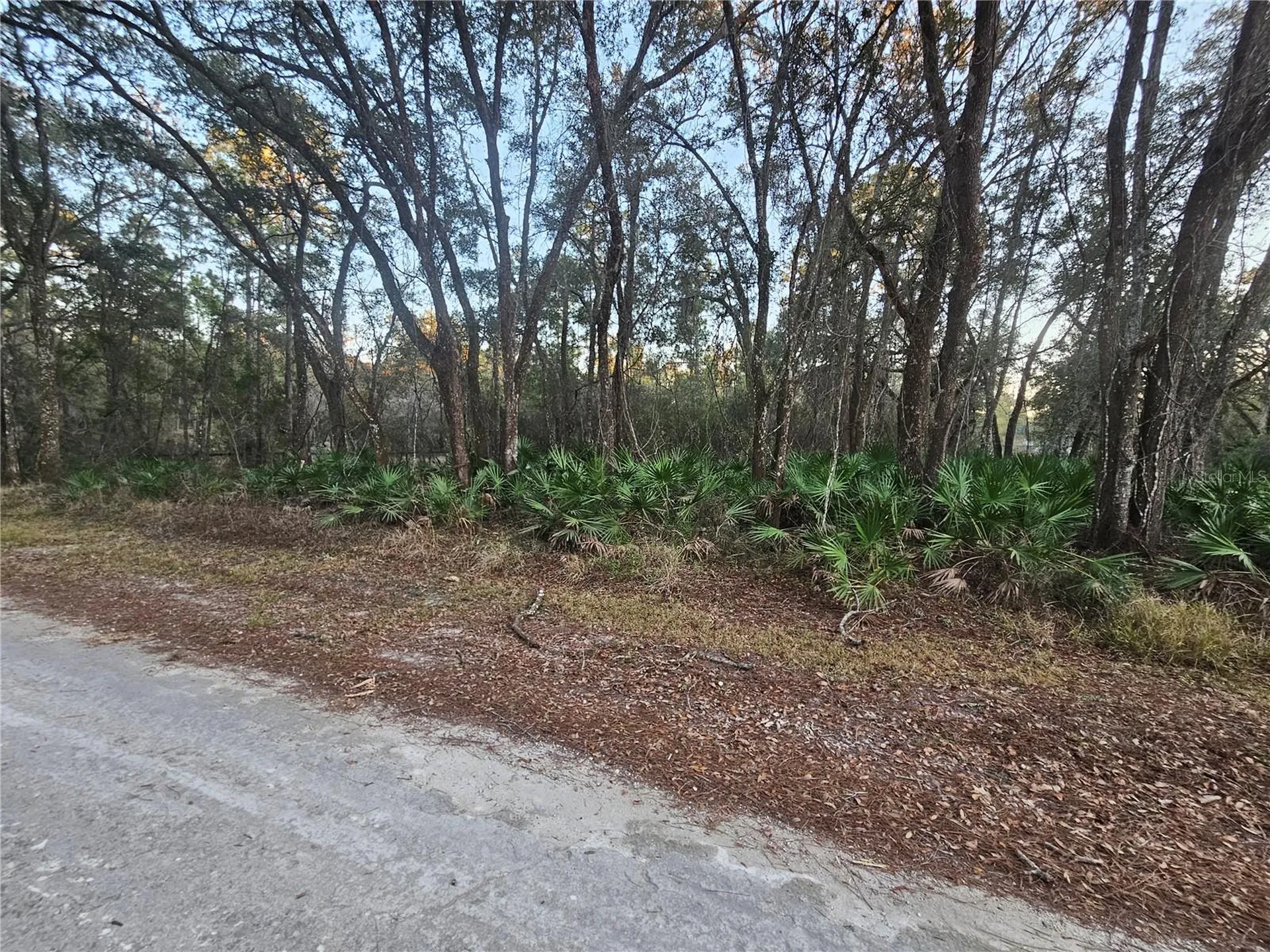 Rosehill Drive Webster FL 33597