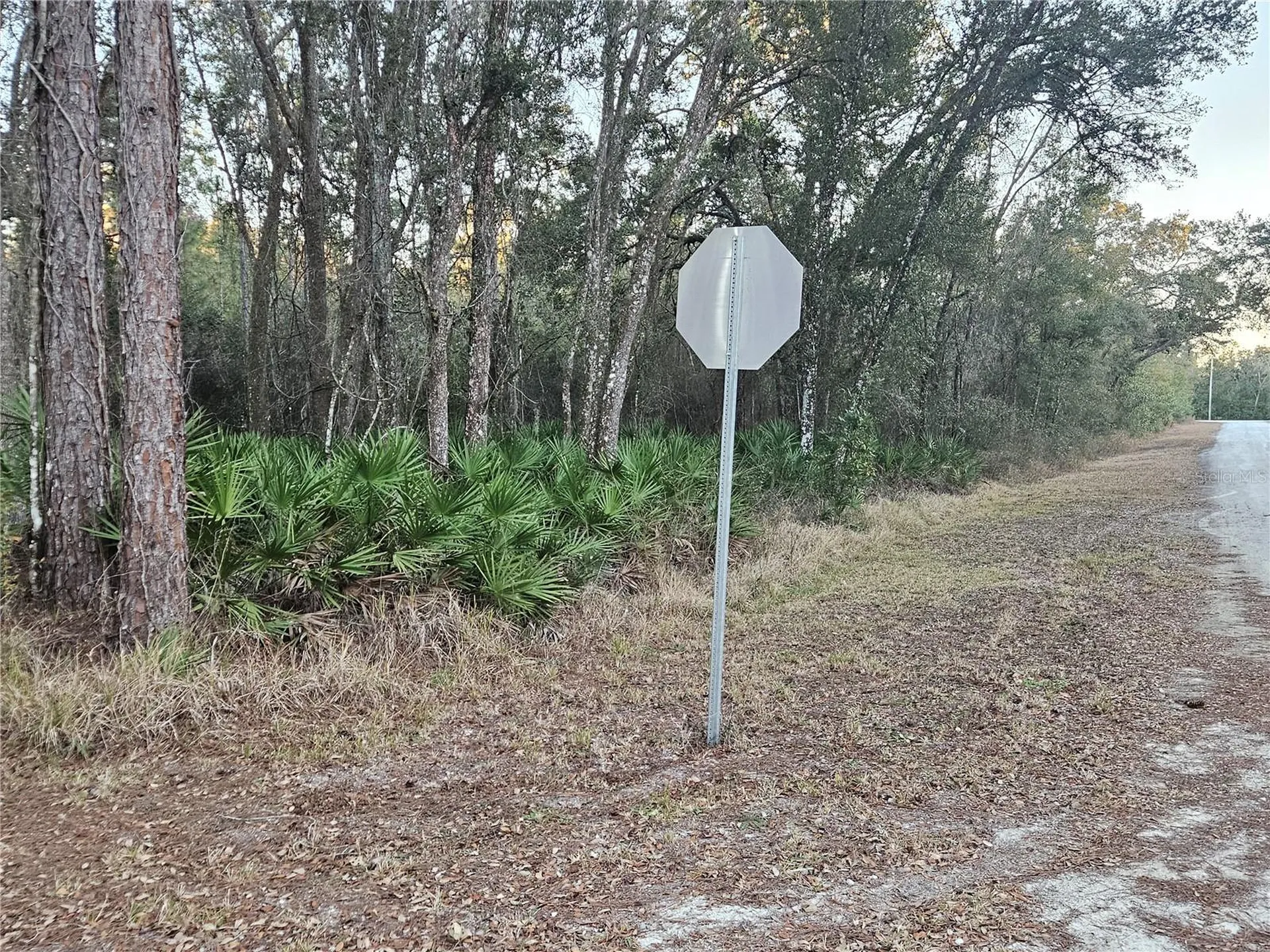 Rosehill Drive Webster FL 33597