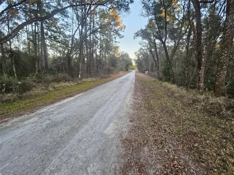 Rosehill Drive Webster FL 33597