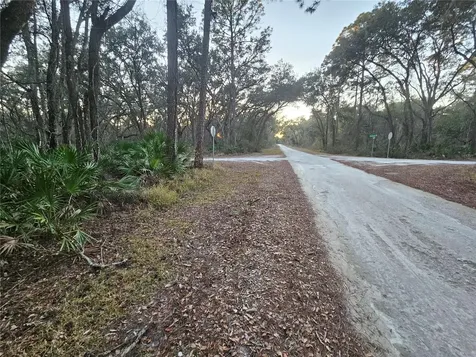 Rosehill Drive Webster FL 33597
