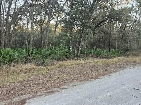 Rosehill Drive Webster FL 33597