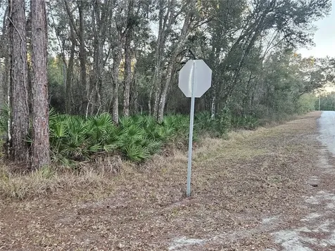 Rosehill Drive Webster FL 33597