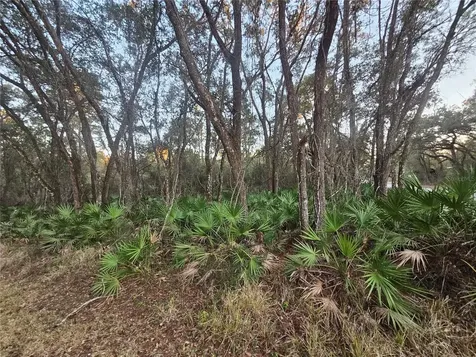 Rosehill Drive Webster FL 33597