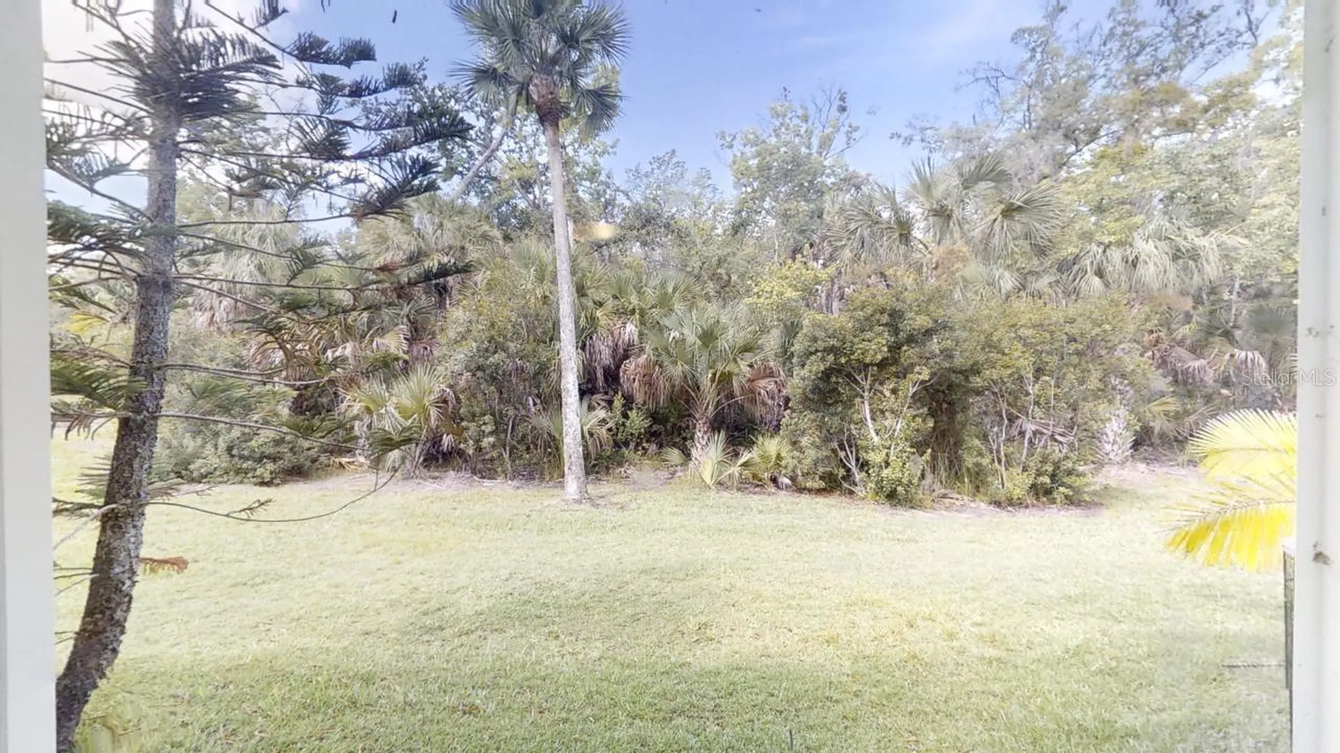 4121 Winding River Way Land O Lakes FL 34639